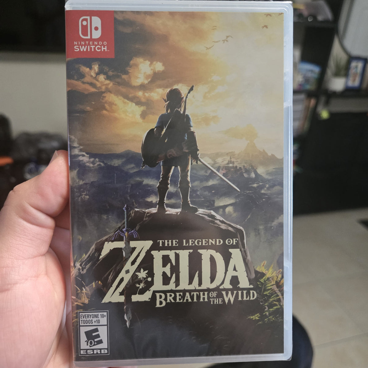 The Legend of Zelda Breath of the Wild