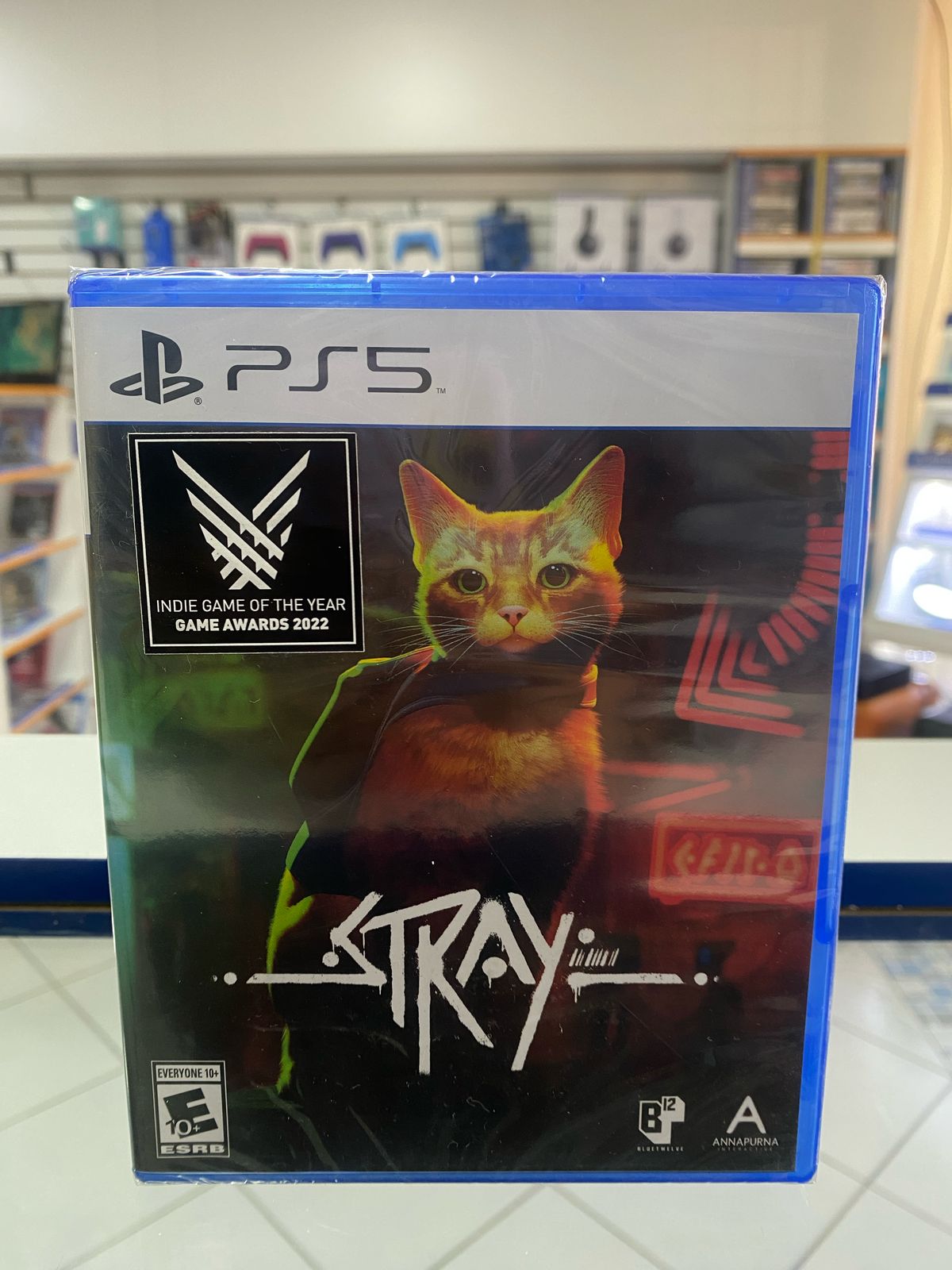 Stray PS5
